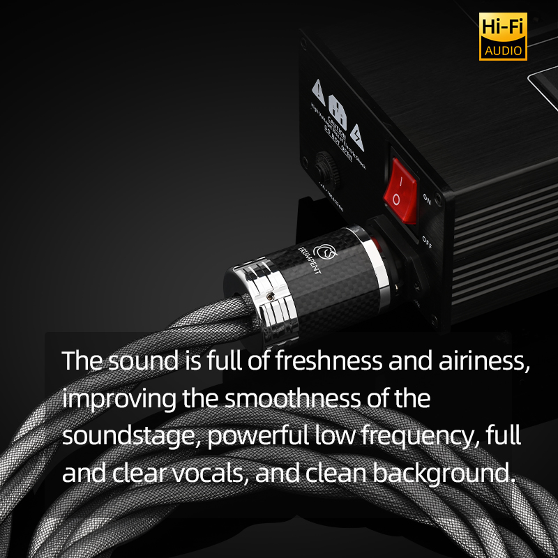 ERUMPENT Power Cable HiFi OCC  - Carbon Filter Inline recensie en prijs